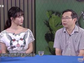 石门银峰