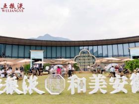 文化入酒演绎“和美”安徽|“五粮液和美安徽文化沙龙”盛大启幕!